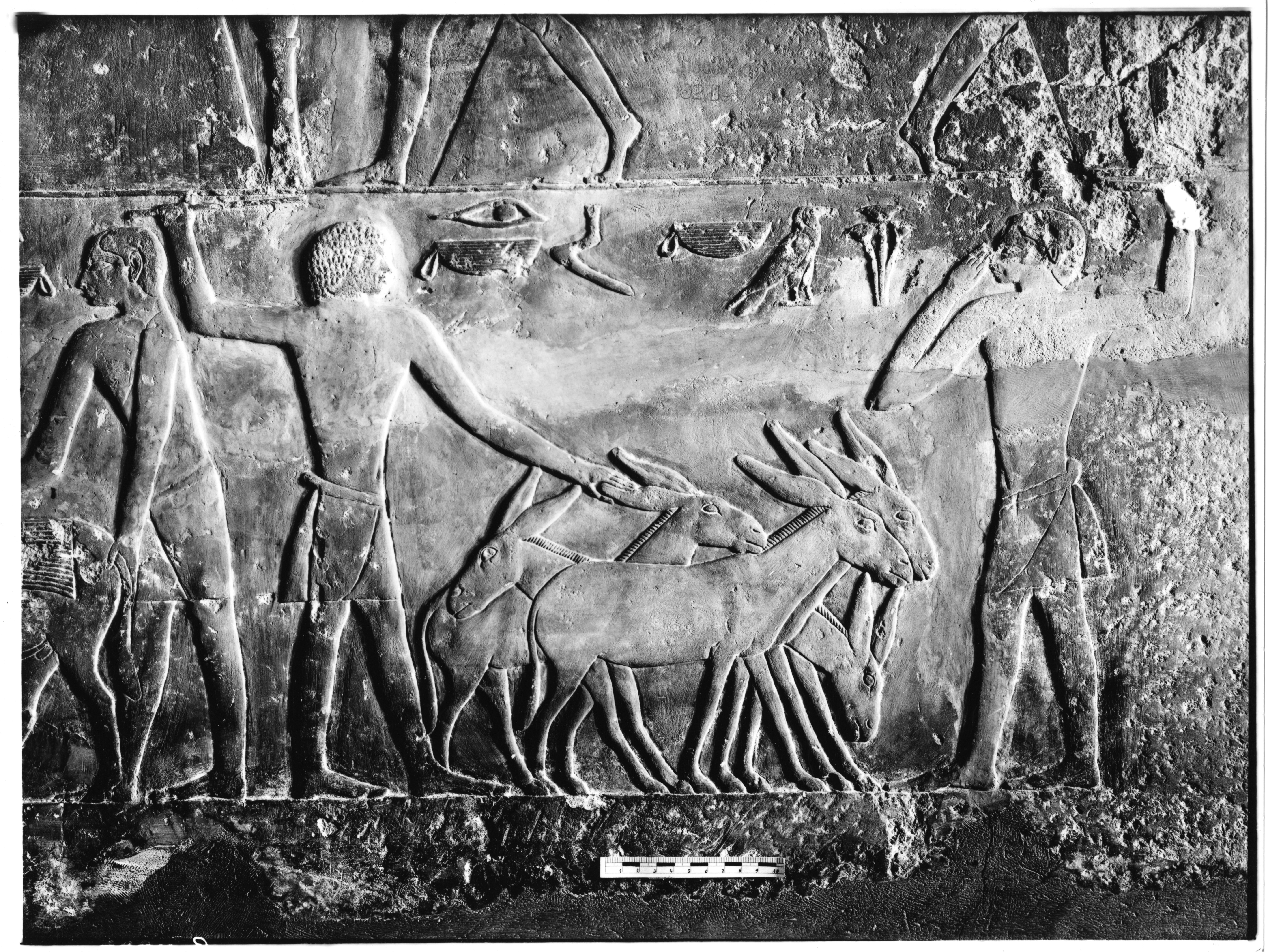 Object(s) photograph: Site: Giza; View: Lepsius 53