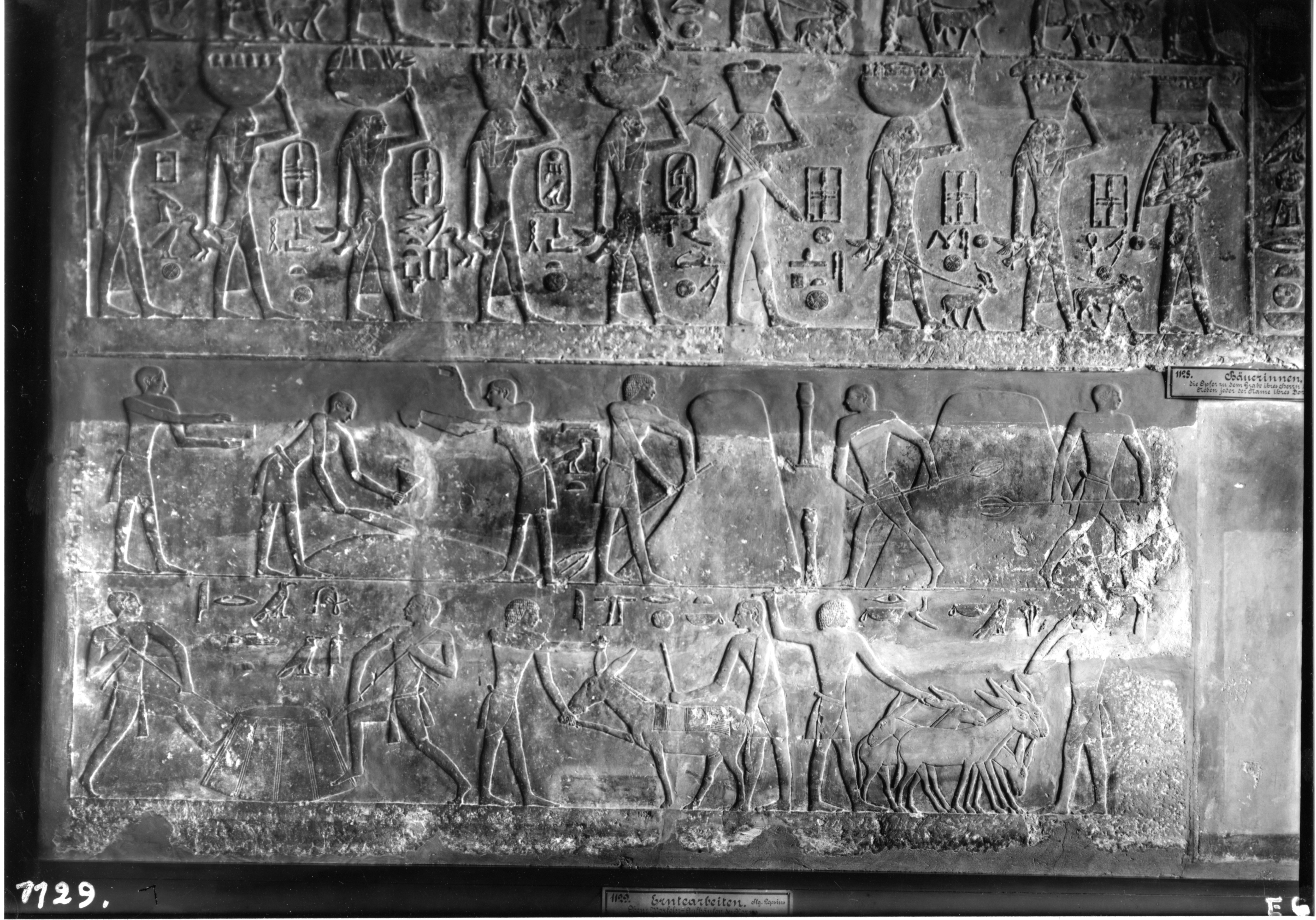Object(s) photograph: Site: Giza; View: Lepsius 53