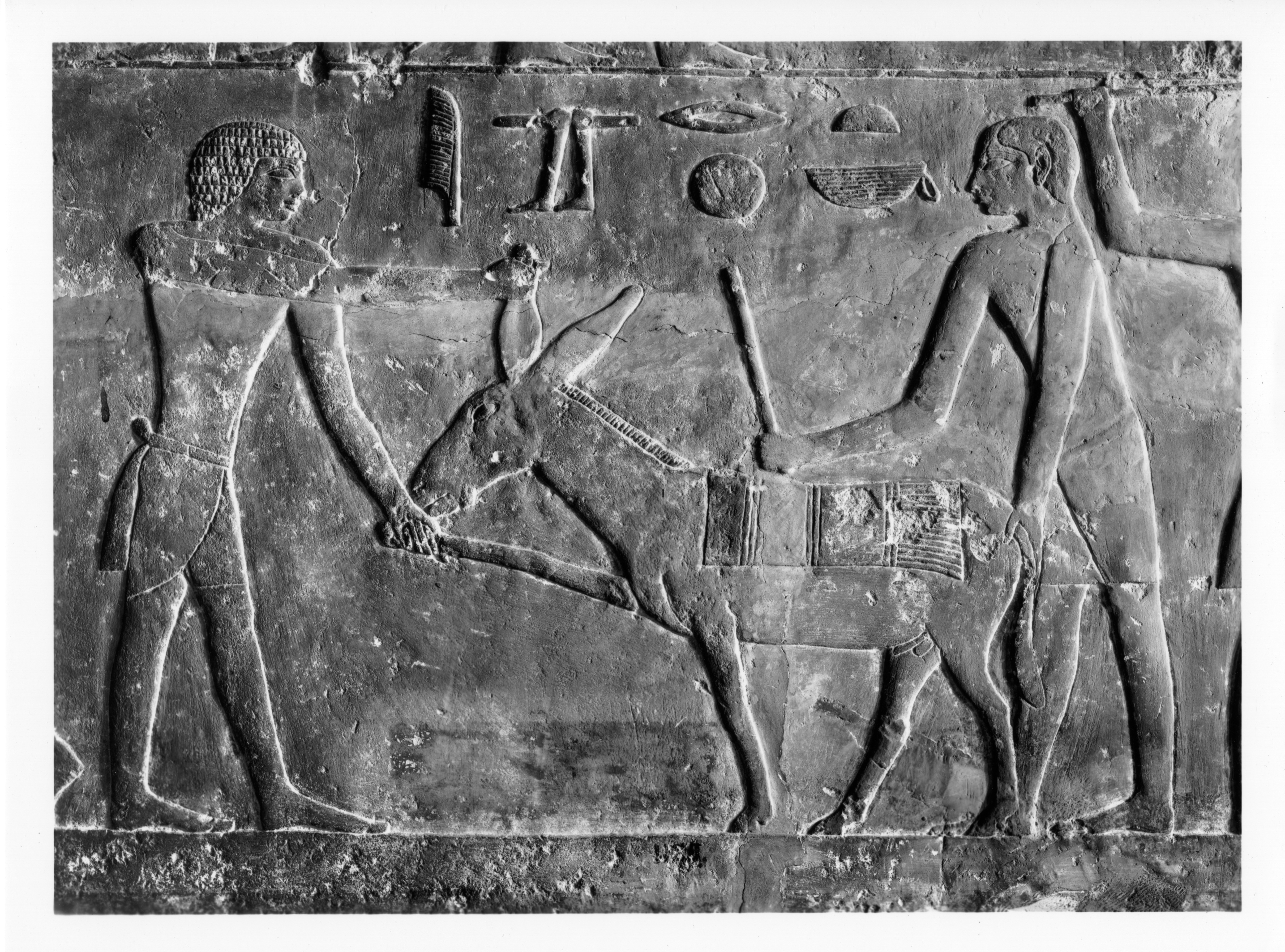 Object(s) photograph: Site: Giza; View: Lepsius 53