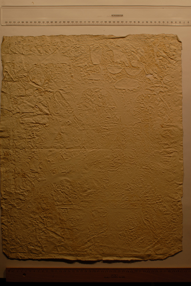 Squeeze: Site: Giza; view: G 8080