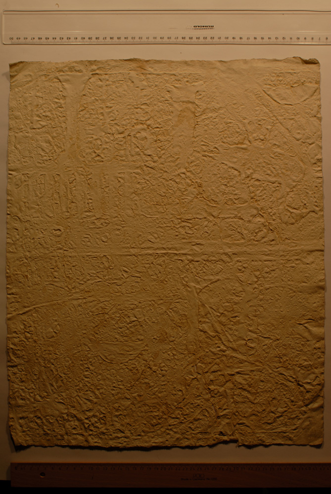 Squeeze: Site: Giza; view: G 8080