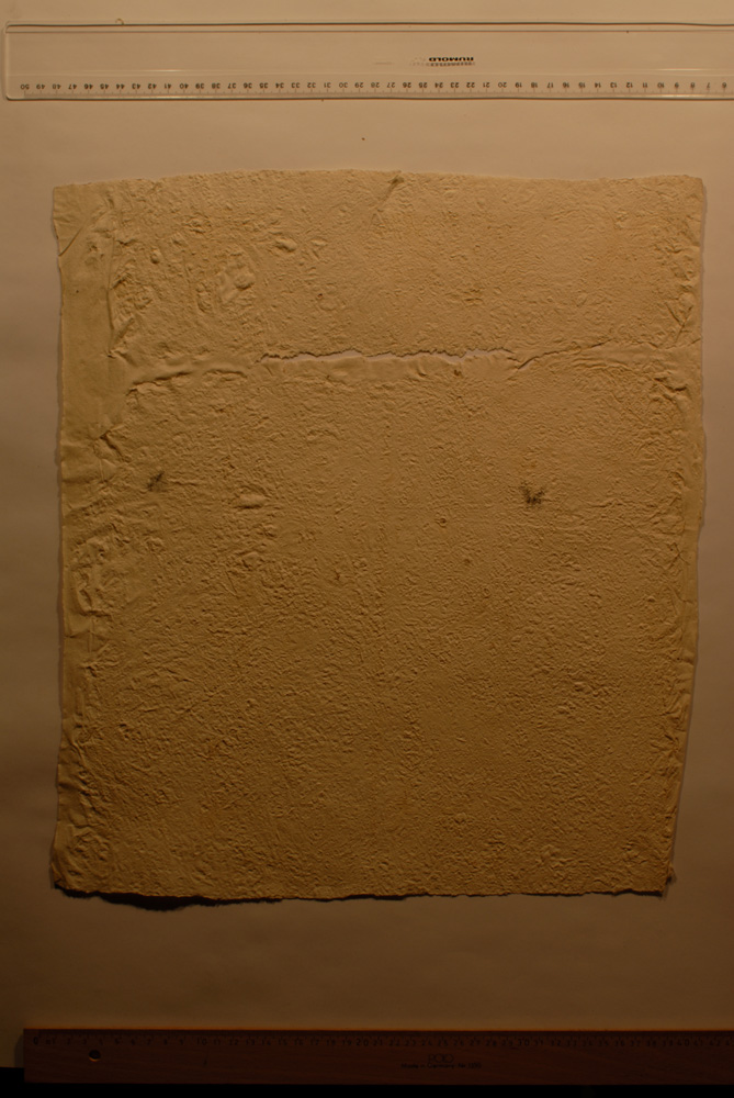 Squeeze: Site: Giza; view: G 7060