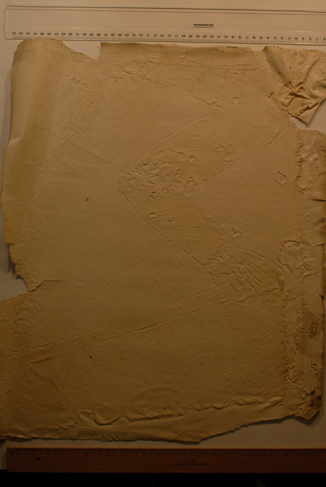 Squeeze: Site: Giza; view: G 6010