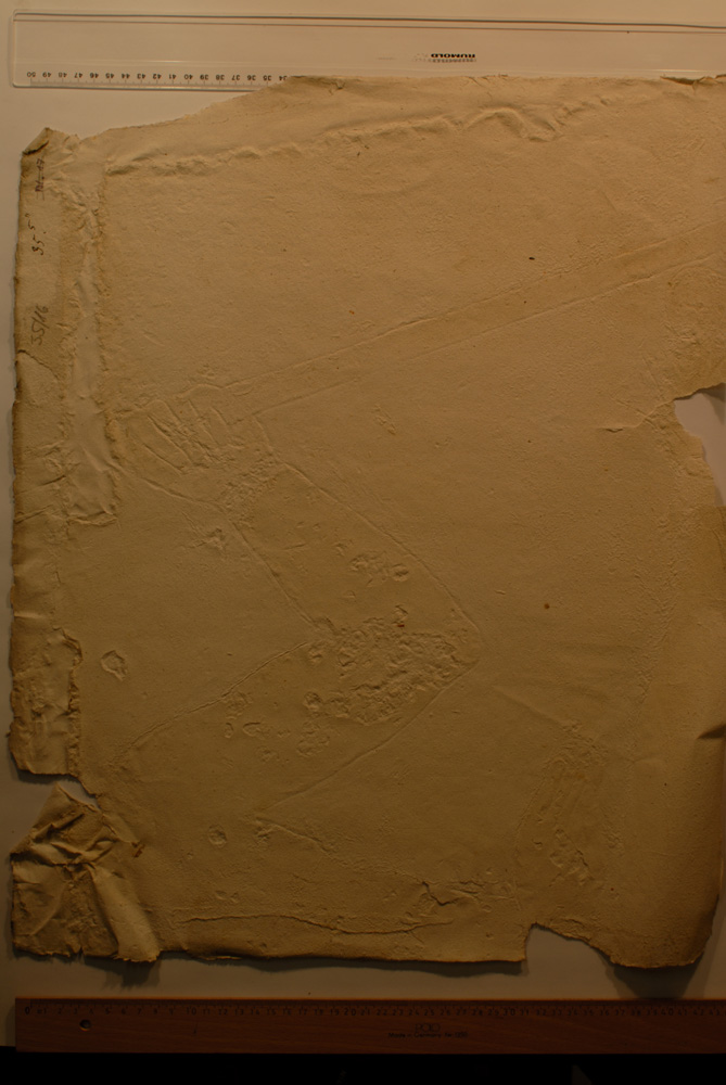 Squeeze: Site: Giza; view: G 6010