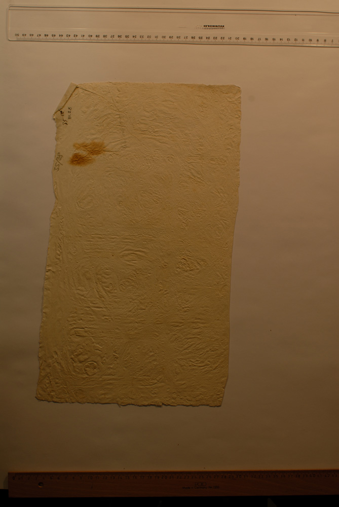 Squeeze: Site: Giza; view: G 6010