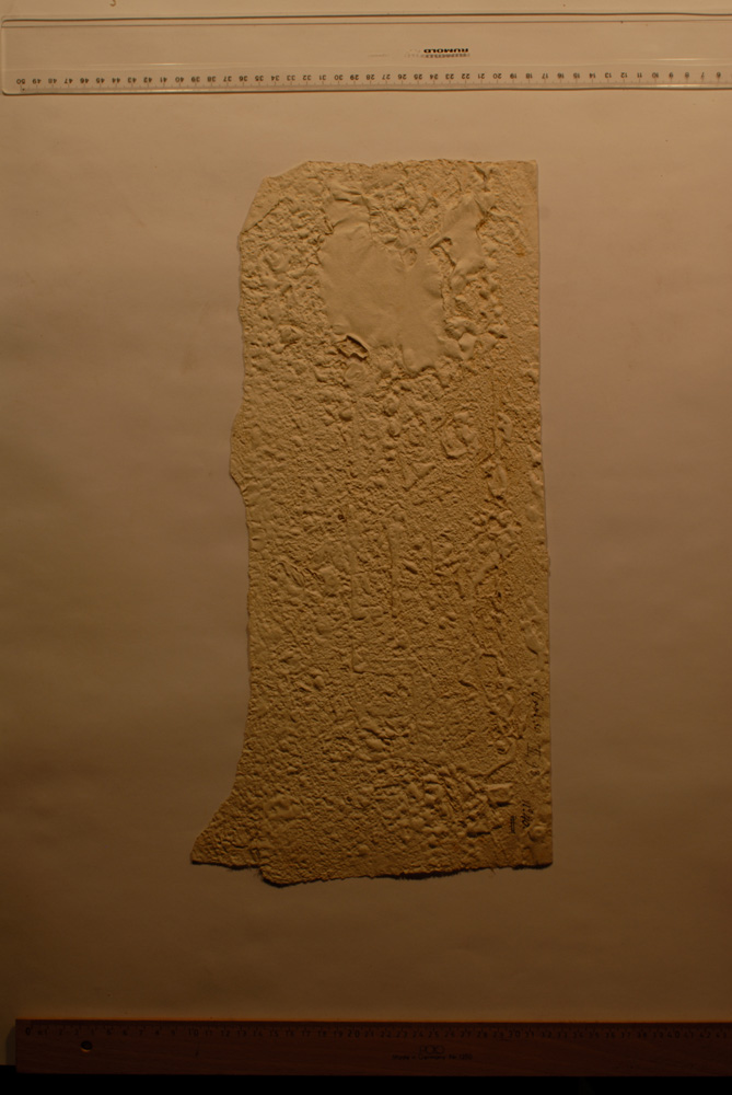 Squeeze: Site: Giza; view: LG 67, LG 72, LG 86, LG 69, G 5150