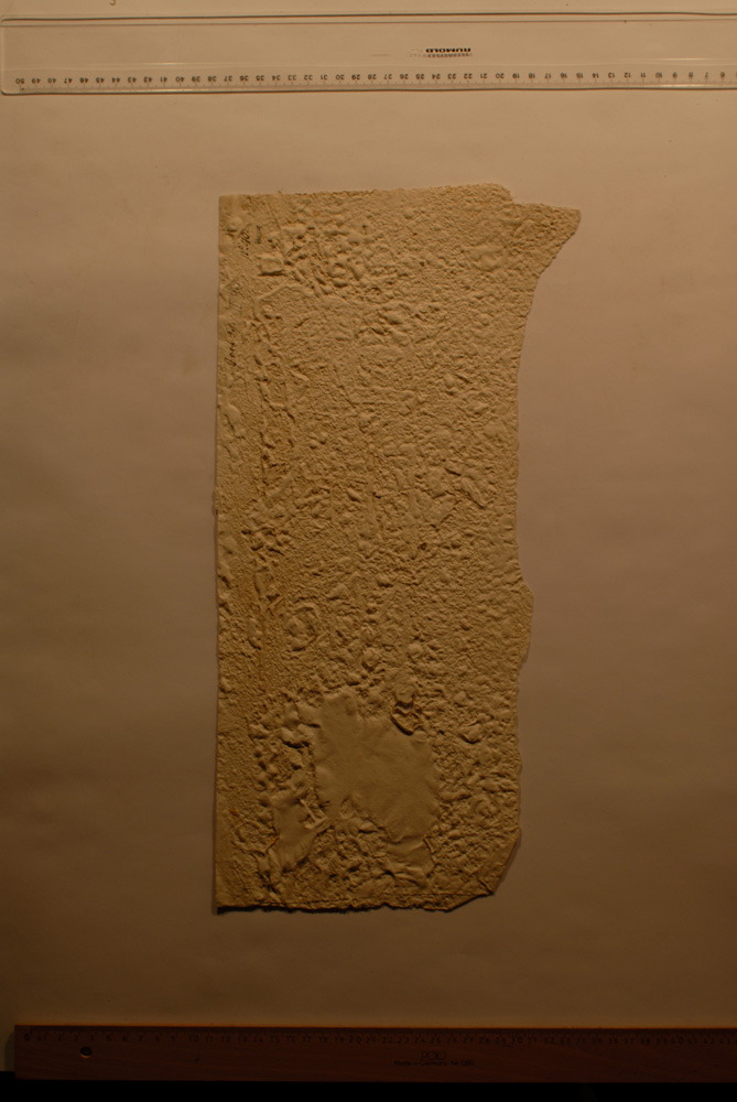 Squeeze: Site: Giza; view: LG 67, LG 72, LG 86, LG 69, G 5150