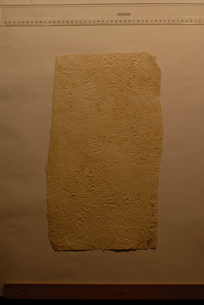 Squeeze: Site: Giza; view: LG 67, LG 72, LG 86, LG 69, G 5150