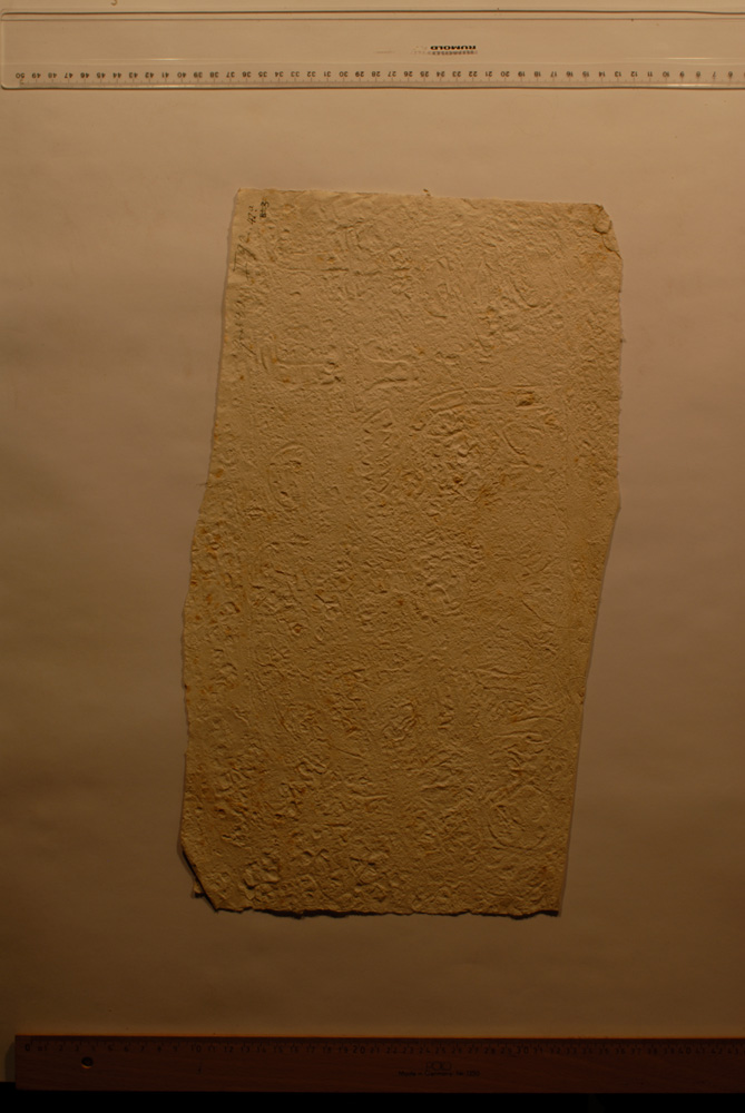 Squeeze: Site: Giza; view: LG 67, LG 72, LG 86, LG 69, G 5150