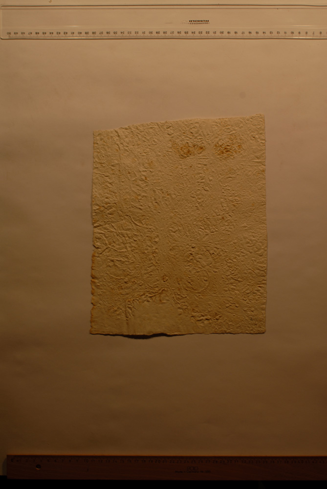 Squeeze: Site: Giza; view: LG 67, LG 72, LG 86, LG 69, G 5150