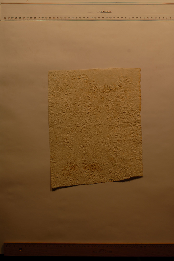 Squeeze: Site: Giza; view: LG 67, LG 72, LG 86, LG 69, G 5150