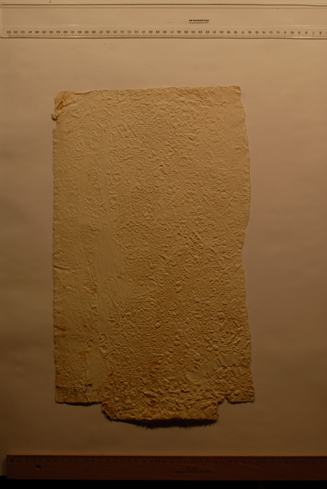 Squeeze: Site: Giza; view: LG 67, LG 72, LG 86, LG 69, G 5150