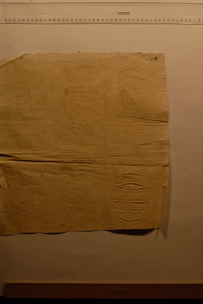 Squeeze: Site: Giza; view: G 9500