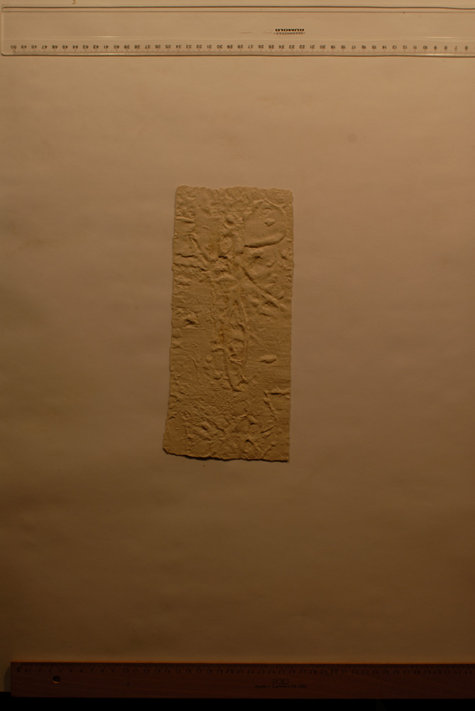 Squeeze: Site: Giza; view: G 9500