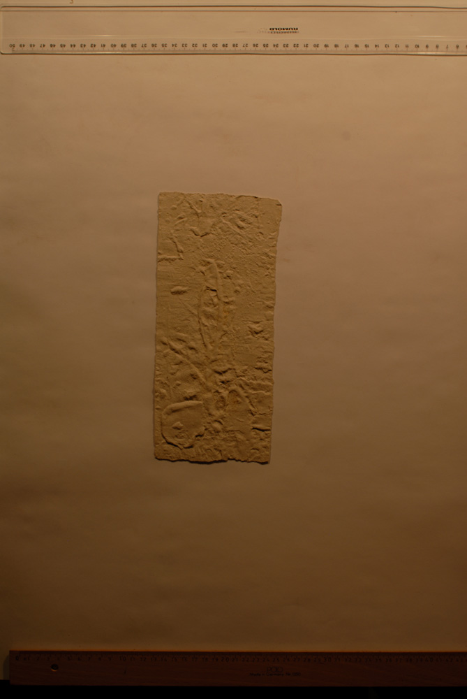 Squeeze: Site: Giza; view: G 9500