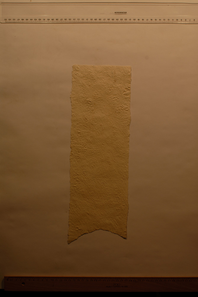 Squeeze: Site: Giza; view: G 9500