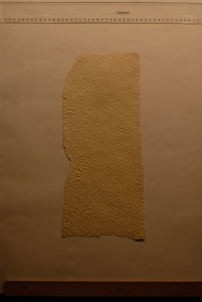Squeeze: Site: Giza; view: G 9500