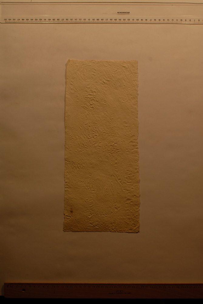 Squeeze: Site: Giza; view: G 9500