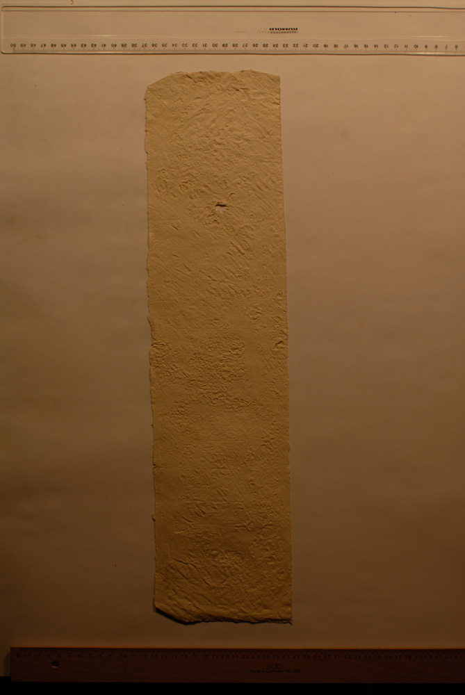 Squeeze: Site: Giza; view: G 9500