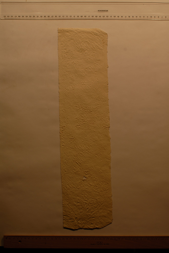 Squeeze: Site: Giza; view: G 9500