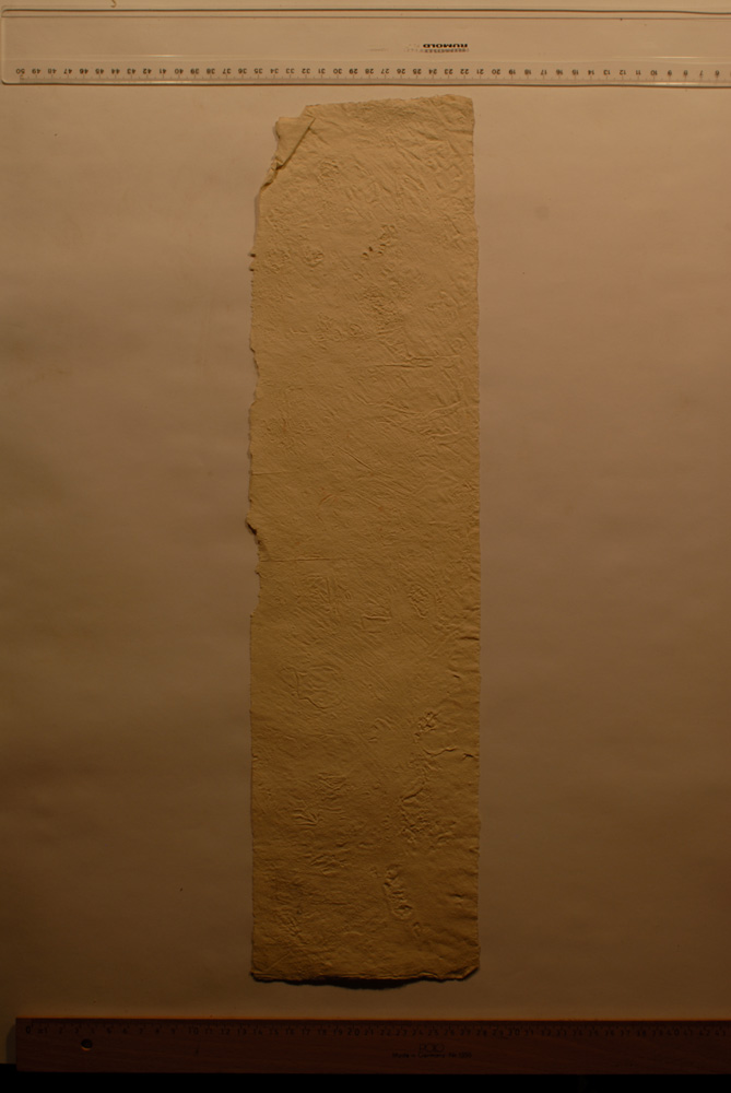 Squeeze: Site: Giza; view: G 9500