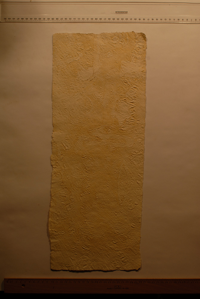Squeeze: Site: Giza; view: G 9500