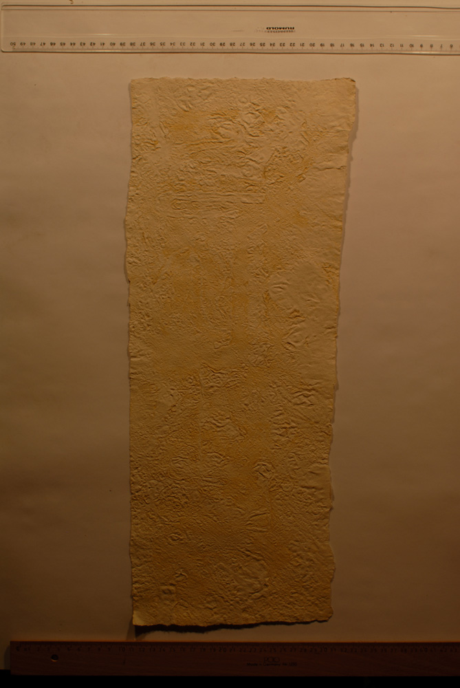 Squeeze: Site: Giza; view: G 9500