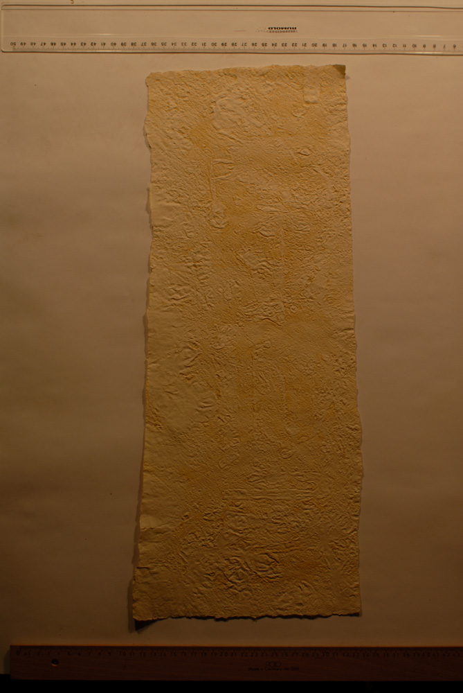 Squeeze: Site: Giza; view: G 9500