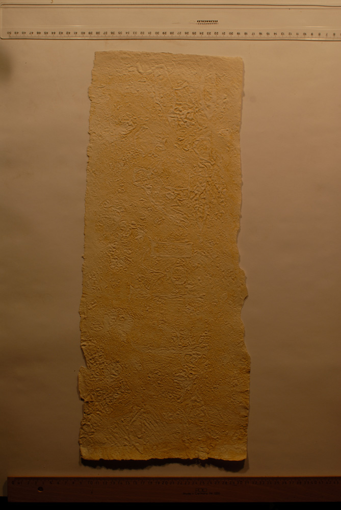 Squeeze: Site: Giza; view: G 9500
