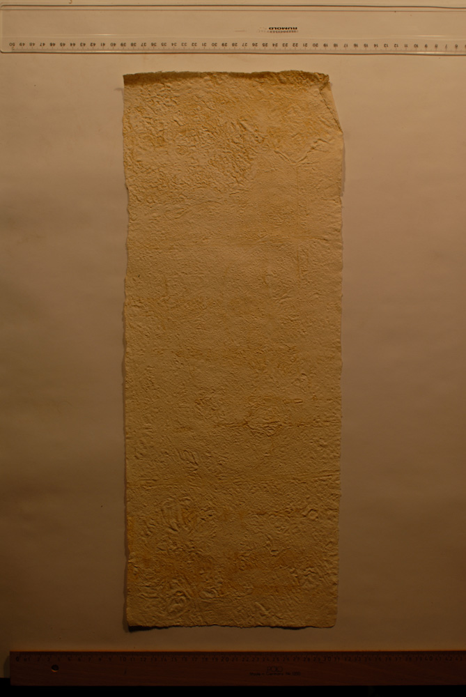 Squeeze: Site: Giza; view: G 9500