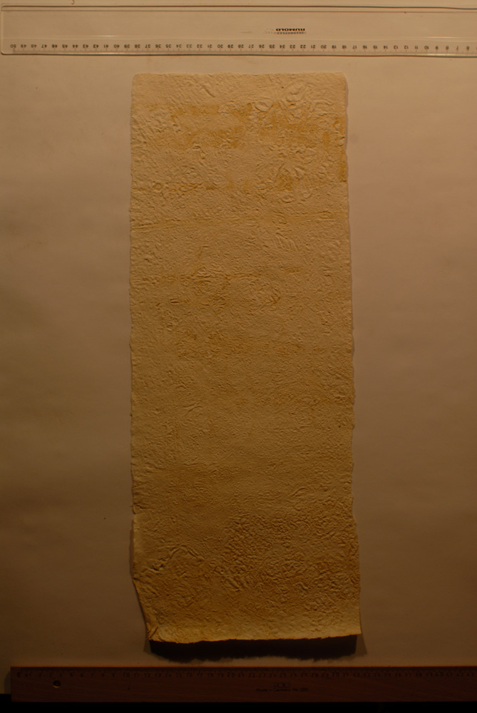 Squeeze: Site: Giza; view: G 9500
