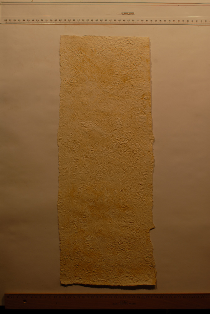Squeeze: Site: Giza; view: G 9500