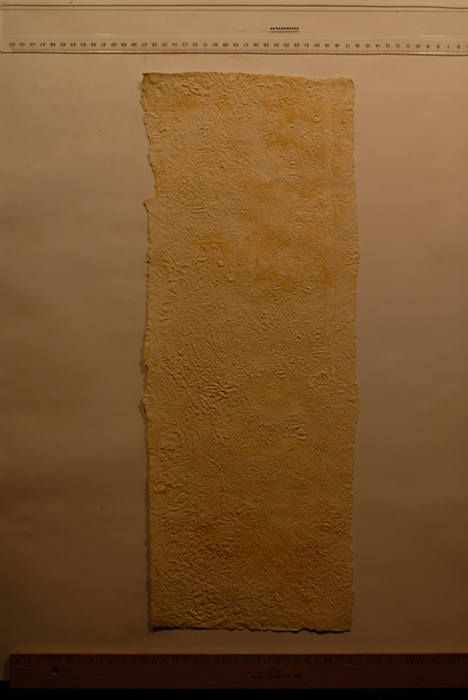 Squeeze: Site: Giza; view: G 9500