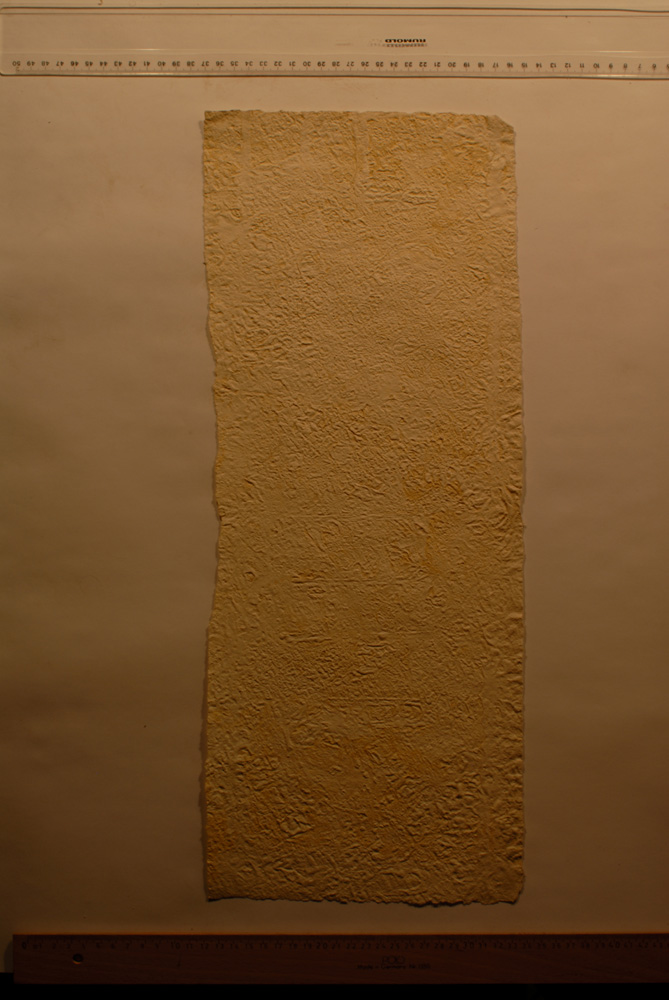 Squeeze: Site: Giza; view: G 9500