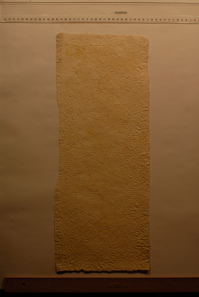 Squeeze: Site: Giza; view: G 9500