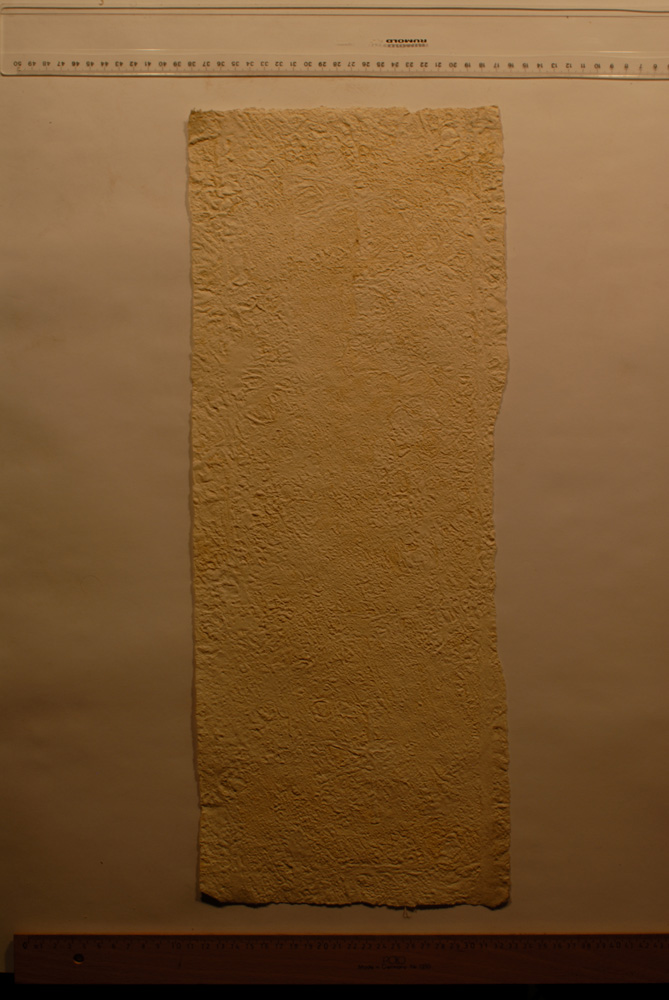 Squeeze: Site: Giza; view: G 9500