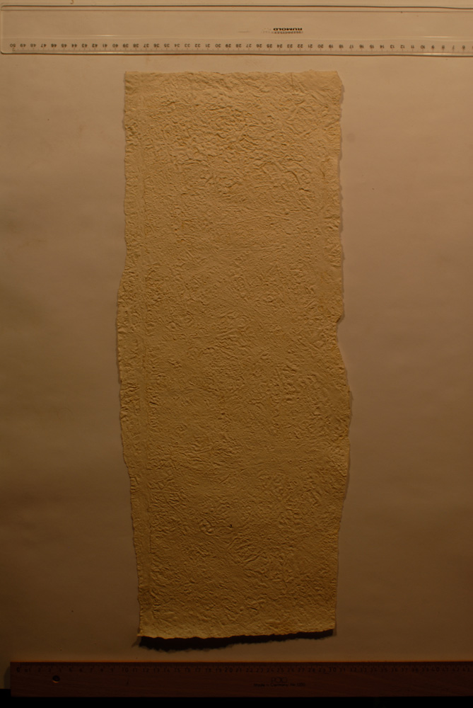 Squeeze: Site: Giza; view: G 9500