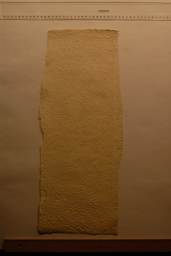 Squeeze: Site: Giza; view: G 9500