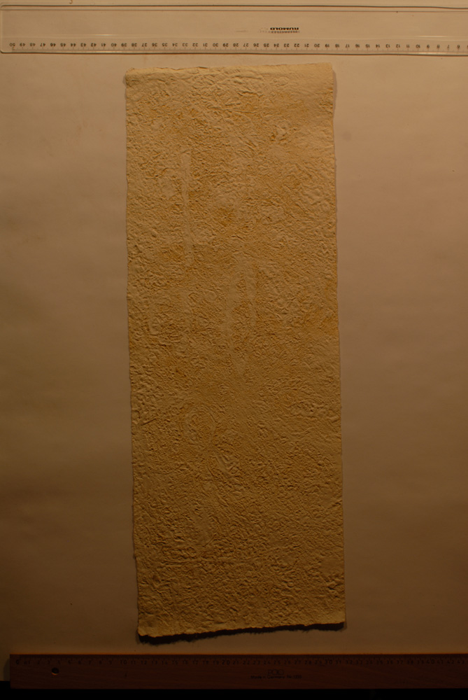 Squeeze: Site: Giza; view: G 9500