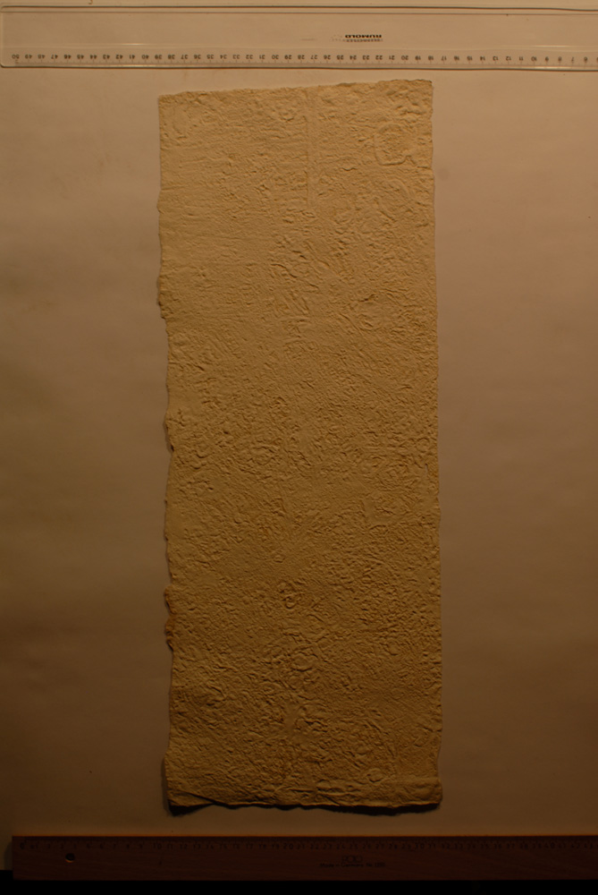 Squeeze: Site: Giza; view: G 9500