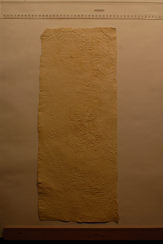 Squeeze: Site: Giza; view: G 9500