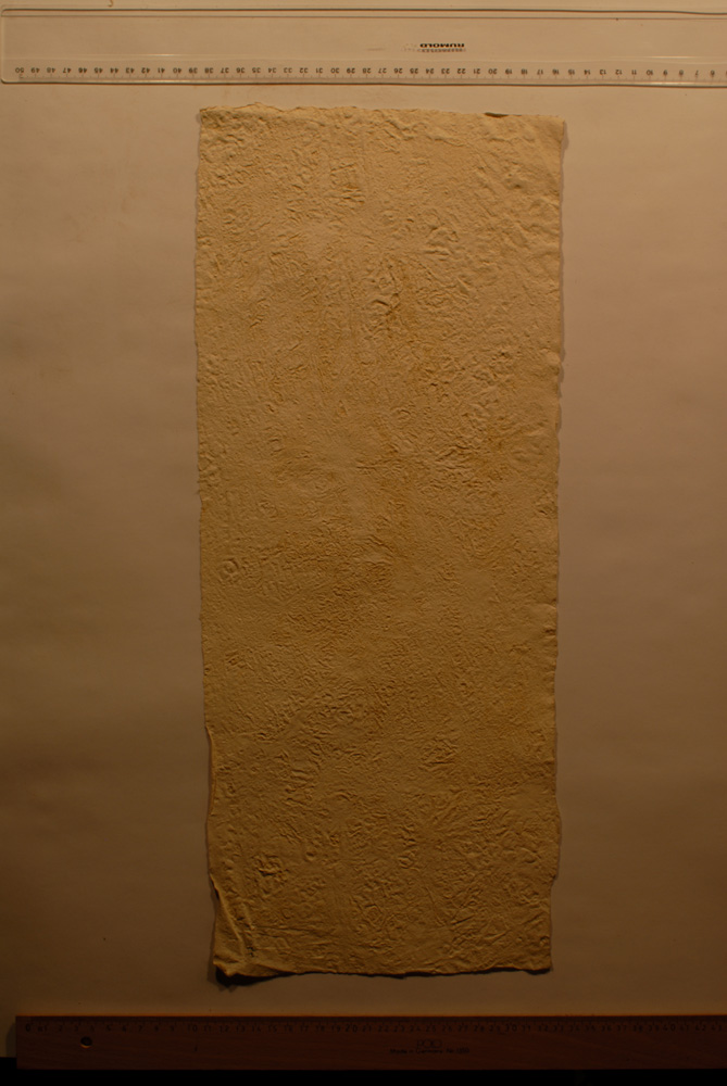 Squeeze: Site: Giza; view: G 9500