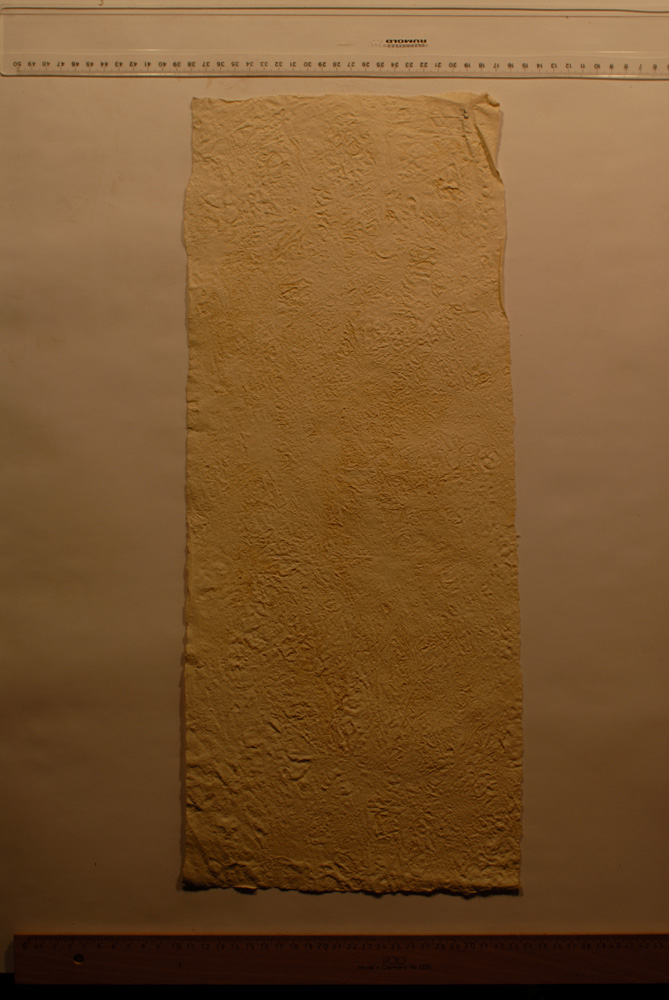 Squeeze: Site: Giza; view: G 9500