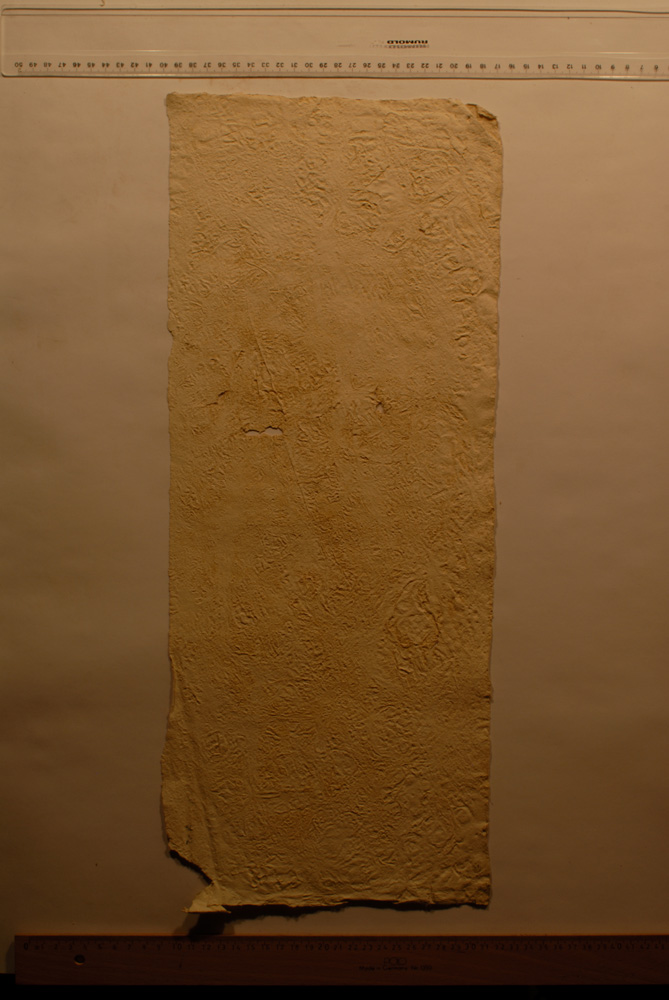 Squeeze: Site: Giza; view: G 9500