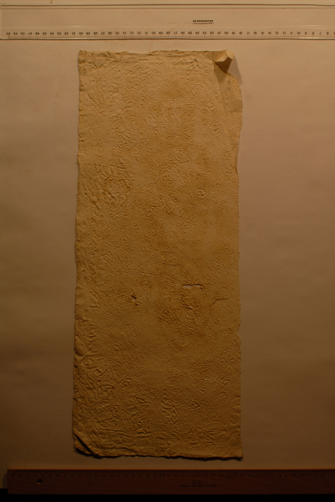 Squeeze: Site: Giza; view: G 9500