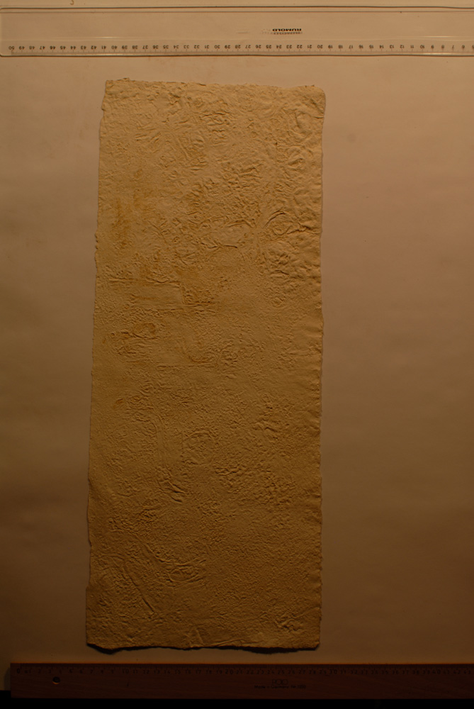 Squeeze: Site: Giza; view: G 9500