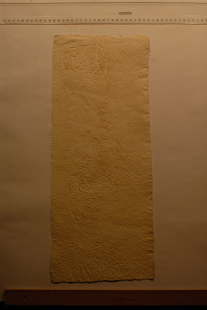Squeeze: Site: Giza; view: G 9500