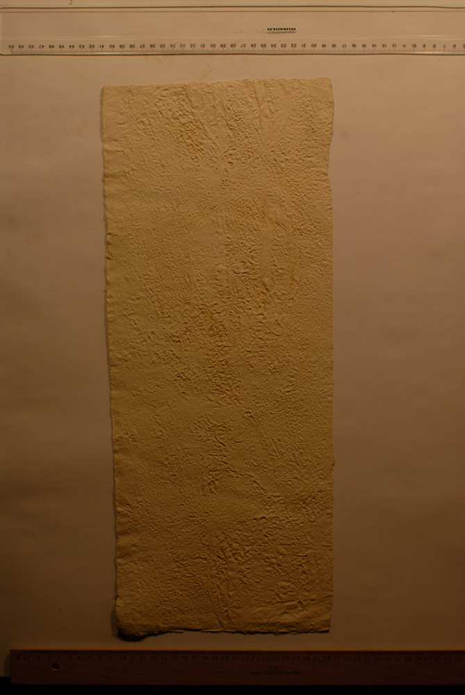 Squeeze: Site: Giza; view: G 9500