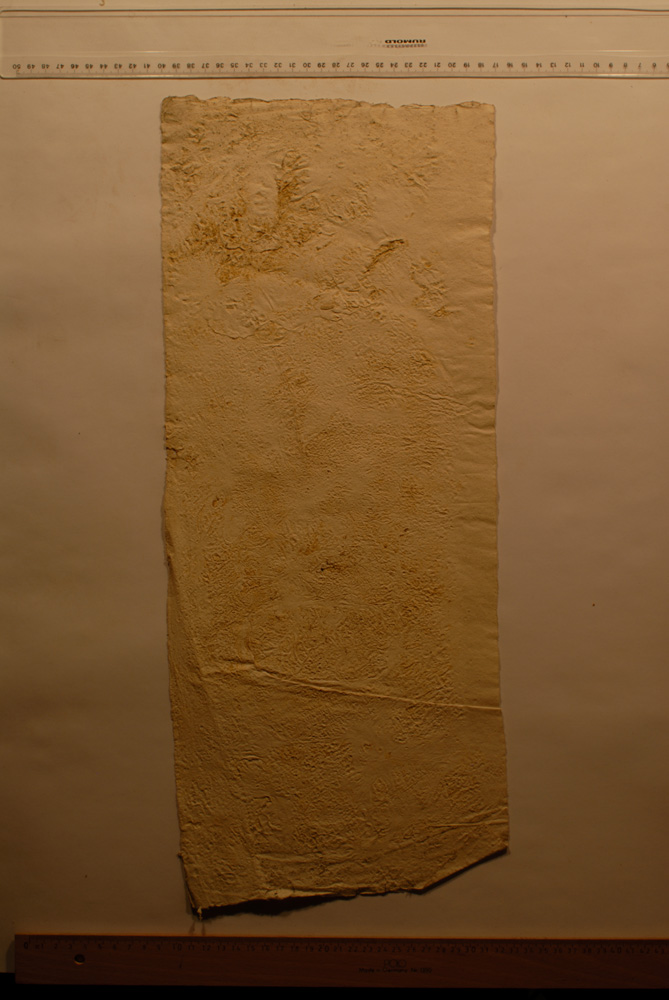 Squeeze: Site: Giza; view: G 9500