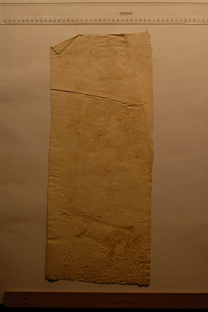 Squeeze: Site: Giza; view: G 9500